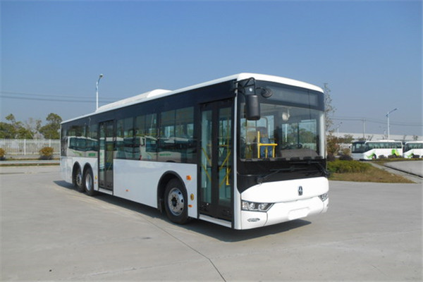 亞星JS6122GHBEV公交車(chē)（純電動(dòng)10-43座）