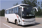 金龍XMQ6859AYN5C客車（天然氣國(guó)五24-37座）