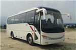 金龍XMQ6898AYD5D客車（柴油國五24-41座）