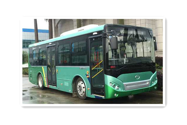 五洲龍F(tuán)DG6851EVG9公交車(chē)（純電動(dòng)10-28座）