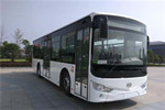 安凱HFF6100G03CHEV26插電式公交車（NG/電混動國五18-36座）