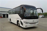 安凱HFF6819KDE5B客車（柴油國五24-34座）