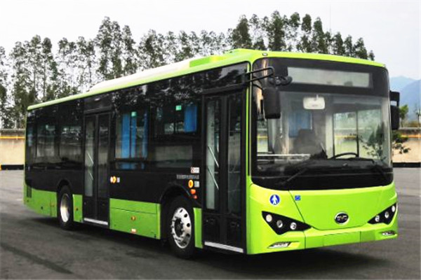 比亞迪BYD6101LGEV8公交車（純電動20-39座）