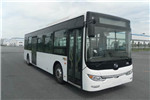 黃海DD6109EV10公交車（純電動(dòng)20-32座）