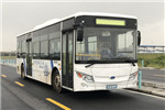 南京金龍NJL6100BEV51公交車（純電動19-37座）