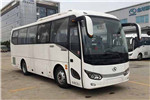 金龍XMQ6879AYD5C客車(chē)（柴油國(guó)五24-38座）