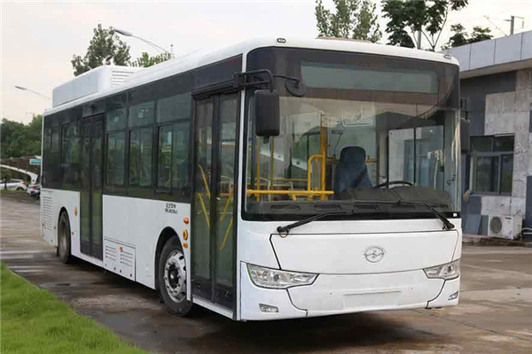 武漢WH6102GBEV1公交車（純電動19-40座）