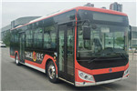 奇瑞萬牌WD6117BEVG03公交車（純電動19-39座）