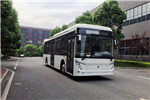 中興GTZ6109BEVB1公交車（純電動25-39座）