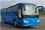 天津比亞迪TJK6110CBDEV公交車(chē)（純電動(dòng)23-48座）