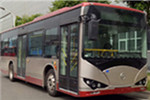 天津比亞迪TJK6102BEV公交車（純電動(dòng)30-38座）