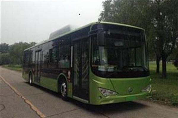 天津比亞迪TJK6124BEV公交車（純電動28-42座）