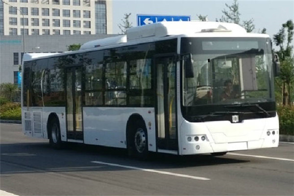 浙江中車(chē)CSR6125GLEV1公交車(chē)（純電動(dòng)22-38座）