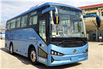 比亞迪BYD6810C4EV1公交車(chē)（純電動(dòng)24-34座）