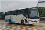 中車時(shí)代TEG6110BEV10公交車（純電動24-48座）