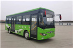 東風(fēng)旅行車DFA6800EBEV7公交車（純電動(dòng)14-29座）